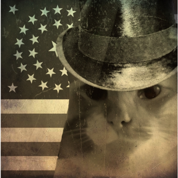 State of New Oskar & Colorazul c. 1880