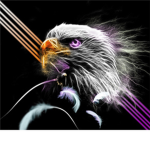 The Storming Eagles