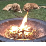 Ash’s Fireside