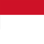 Indo nation group