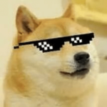 DogTopia