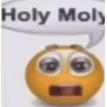 Yyhip