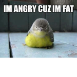 *Bird Family*
