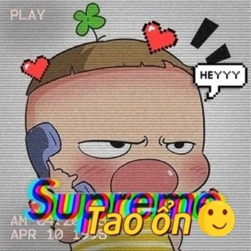 BỎ TÌM NÝ PLS