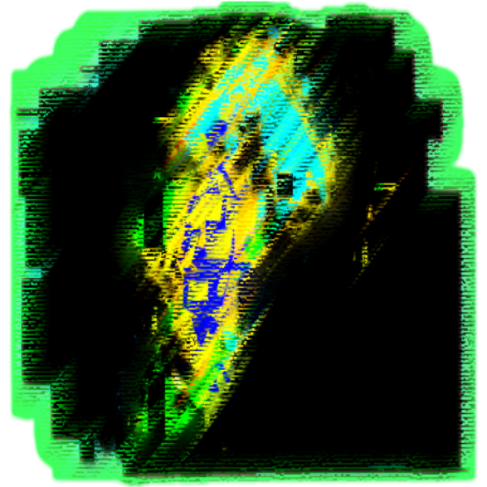 DOORS Fan Entity: Angush Roblox decal