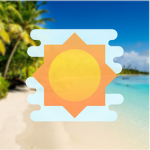 Summerized