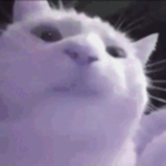 vibenAlts