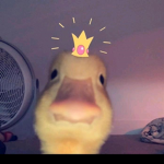i had nothing to do so i made this