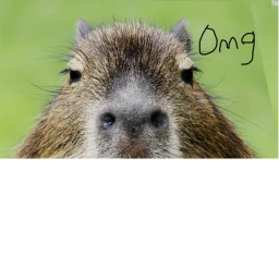 Capybara land icon