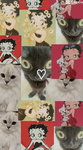 The Amazing Cat group :)