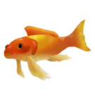 Fishy fends