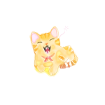 star tiger