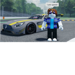 Racing Simulator! (NEW!)