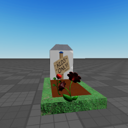 RIP KIDS ONLY!!!!!!!
