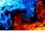 Fire Bux Tribe