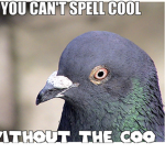 The Almighty Pigeon Bean.