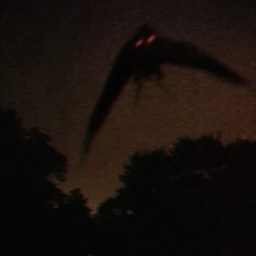 MOTHMAN: DEAD OF NIGHT icon