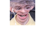 flamingo best ples sub to him