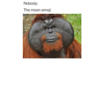memes only comedian's will understand