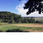 ###### do kröte mit der klöte