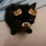 lagrímas