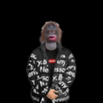 NinjaFox