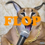 *Floppa kingdom*