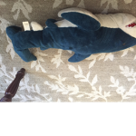 Sharks or monsters