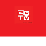 ethan gamer tv fan group