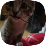 Hi I’m Lesley! Please join my Group!
