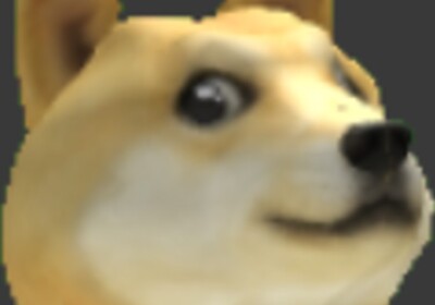 The doge house