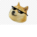 DOGE IS THE BEST OK
