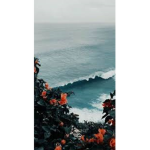 ~ nature falls ~