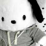 - THE BESTIES -