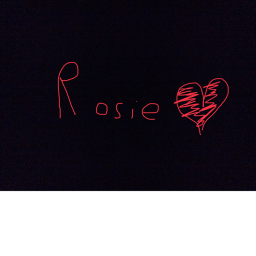 Hi rosie made this game