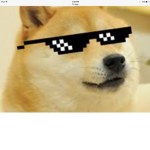Jolly Doge fan group