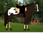 SRA’s auction!