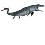 Dinosaur Simulator Official Packs