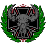 56th. Air Infantry Division