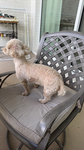 Summer harvest grow a garden