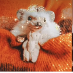 bootifull teddys