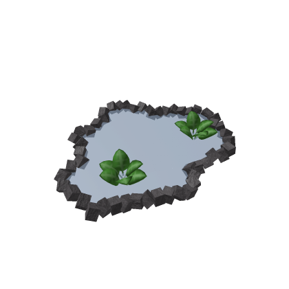 Pond [ Maybe fixed ]