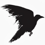 Raven Tail [FTU]