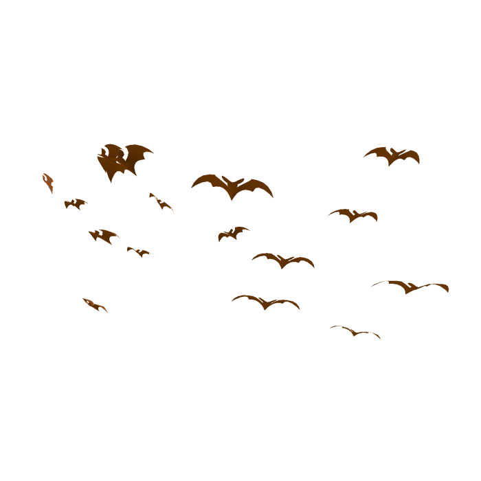 Orange Bats