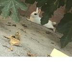 My little beans!