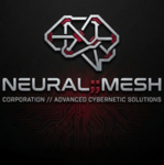 NEURAL MESH