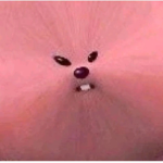 블랙 캣
