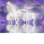 Unicorn krew fan lol