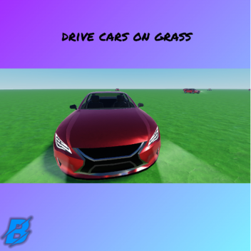 Drive cars on grass