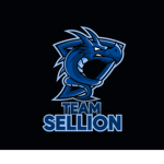Sellion_Server